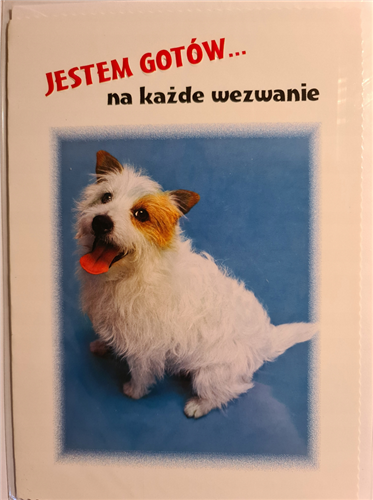 Kartki urodzinowe kartka urodzinowa karnet bez życzeń 11,8 cm *16,5 cm 10250372924 16897829534