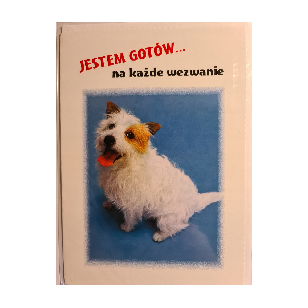 Kartki urodzinowe kartka urodzinowa karnet bez życzeń 11,8 cm *16,5 cm 10250372924 16897829534