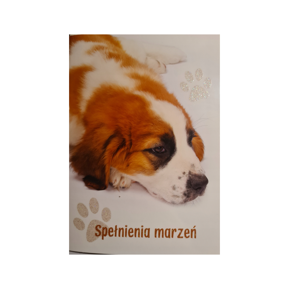 Kartki urodzinowe kartka urodzinowa 12 cm *16,5 cm 12806308705