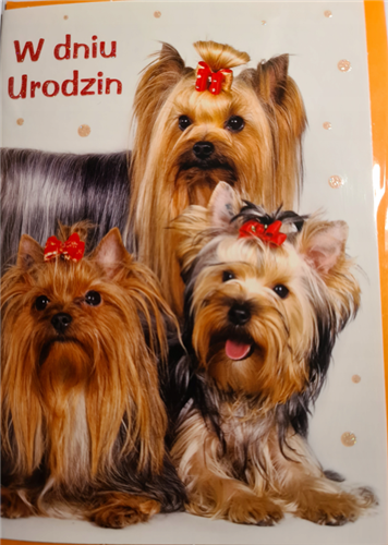 Kartki urodzinowe kartka urodzinowa 12 cm *16,5 cm 12806312583