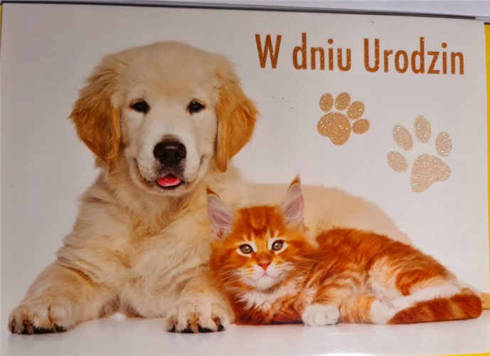 Kartki urodzinowe kartka urodzinowa  12 cm *16,5 cm 12806313834