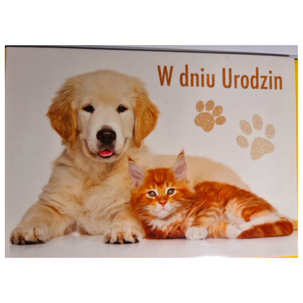 Kartki urodzinowe kartka urodzinowa  12 cm *16,5 cm 12806313834
