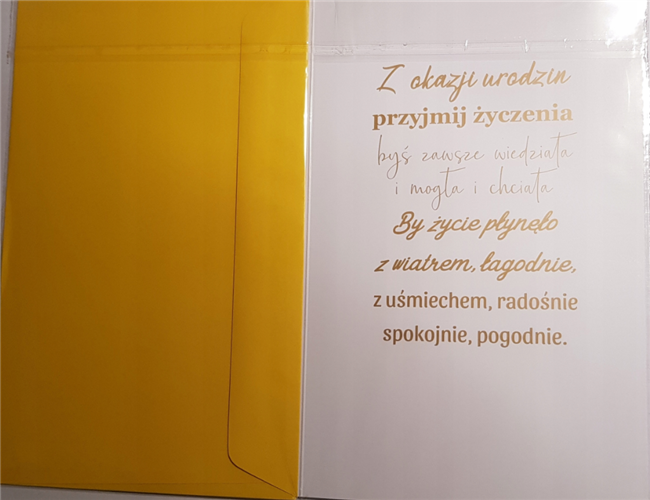 Kartki urodzinowe kartka urodzinowa WESOŁE Zabawna 13 cm *20,4 cm 9046256400