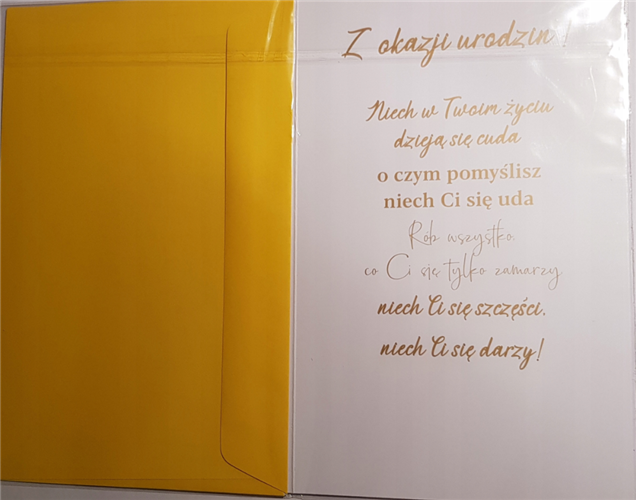Kartki urodzinowe kartka urodzinowa WESOŁE Zabawna 13 cm *20,4 cm 9046240603
