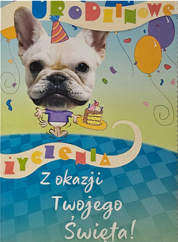 Kartki urodzinowe dla dziecka kartka urodzinowa 11,7 cm *16,5 cm 12658909977