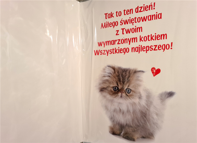 kartka na osiemnastkę kartka na 18 kartki WESOŁA 16 cm *22 cm 16897830082