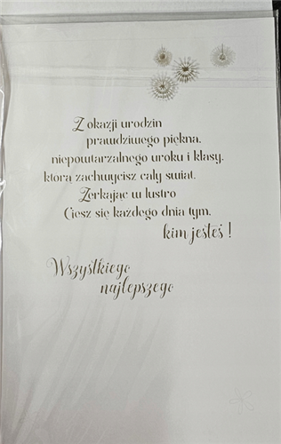 Kartki urodzinowe kartka urodzinowa WESOŁE Zabawna   13 cm *20,4 cm 13721732719