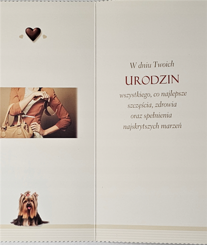 Kartki urodzinowe kartka urodzinowa karnet  10,2 cm *21 cm 13763631199