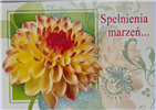pocztówki Pocztówka urodzinowa CENA za 2 SZTUKI  14,8 cm *10,5 cm 13944681981