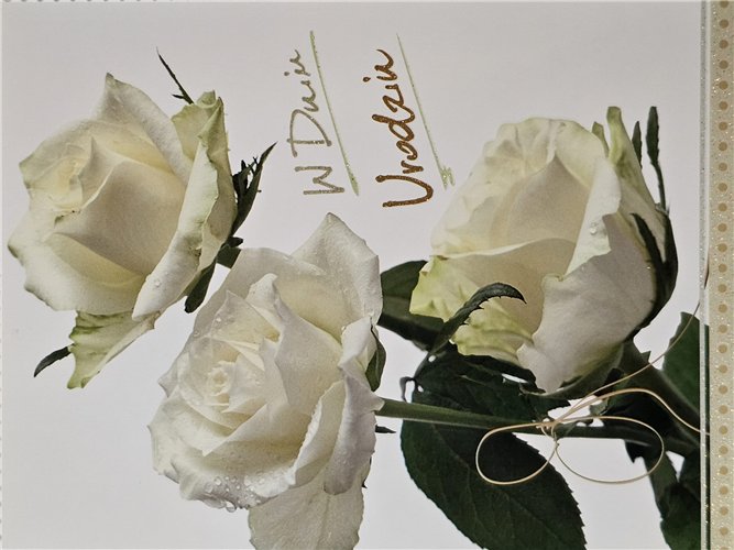 Kartki urodzinowe kartka urodzinowa karnet   12 cm *16,5 cm 15129411624