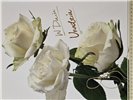 Kartki urodzinowe kartka urodzinowa karnet   12 cm *16,5 cm 15129411624
