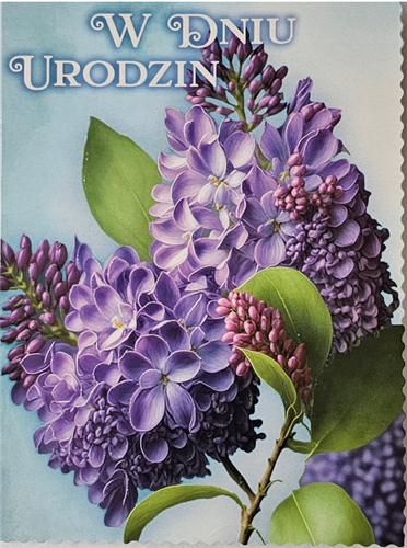 Kartki urodzinowe kartka urodzinowa karnet urodzinowy  12 cm *16,5 cm14278674533