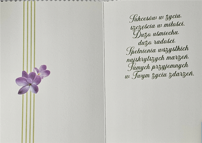 Kartki urodzinowe kartka urodzinowa karnet urodzinowy  12 cm *16,5 cm14278674533