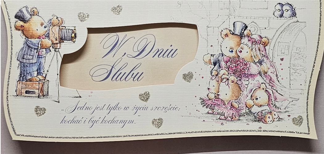 pamiątka na ślub, kartka na ślub, pocztówka ślubna  9,7 cm *20,5 cm 14278811045