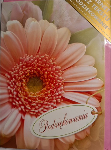 Kartki z okazji podziękowanie, dziękuje 11,7 cm *16,5 cm 14446384707