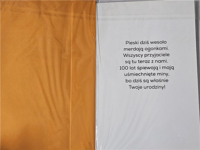 Kartki urodzinowe dla dziecka 13 cm *20,4 cm 15379676244