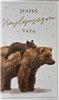 Kartki na Dzień Taty dla Taty Prezent dla Taty  13cm x 20,5 cm 16897829526