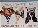 Kartki urodzinowe kartka urodzinowa 11,7 cm *16,5 cm 16897829977