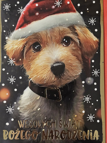 kartki z okazji Bożego Narodzenia Boże Narodzenie 11,5 cm *16,5 cm PP-2266