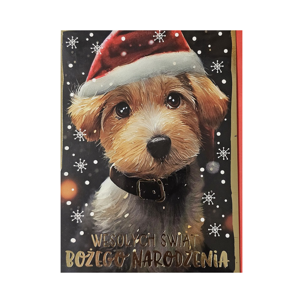 kartki z okazji Bożego Narodzenia Boże Narodzenie 11,5 cm *16,5 cm PP-2266