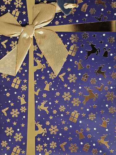 Świąteczna Torebka od Świętego Mikołaja 12,8 x 17,9 x 8 cm T-06