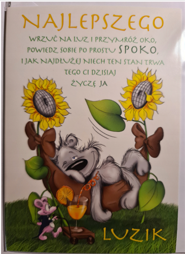 Kartki urodzinowe kartka urodzinowa WESOŁE Zabawna  11,7 cm *16,5 cm 11668532822
